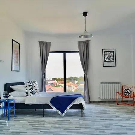 Bulldog * Năvodari